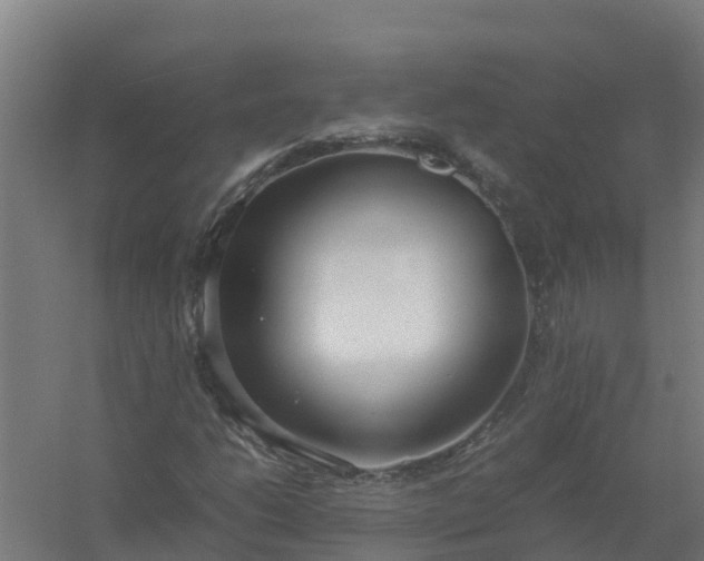 X0000059811206200511041644