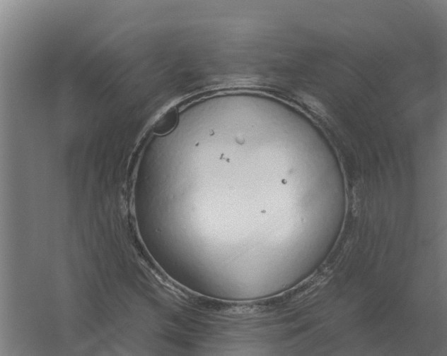 X0000059811212200511041645