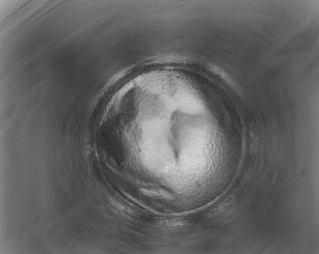 X0000059811213200511041645