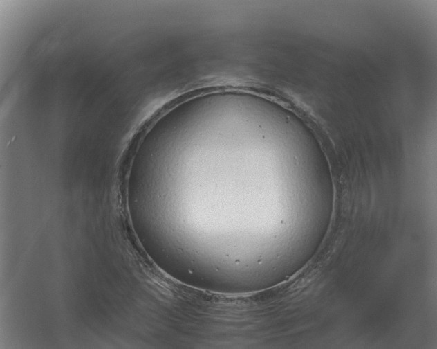 X0000059811215200511041645