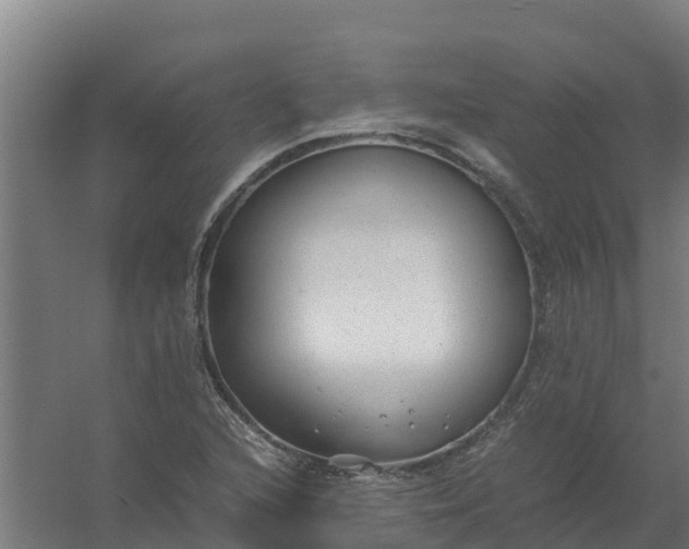 X0000059811216200511041645