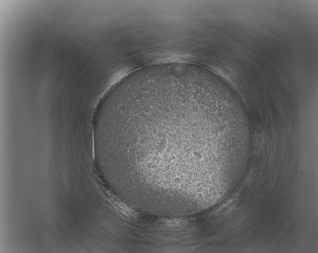 X0000059811219200511041645