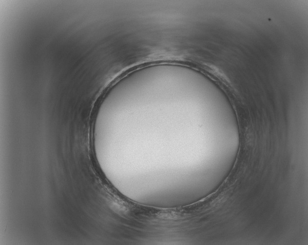 X0000059811220200511041645