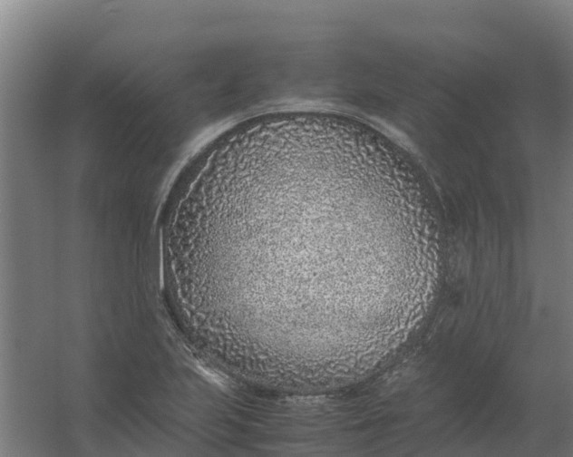 X0000059811223200511041645