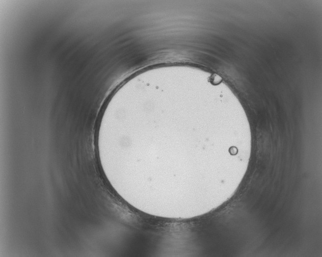 X0000059811226200511041645