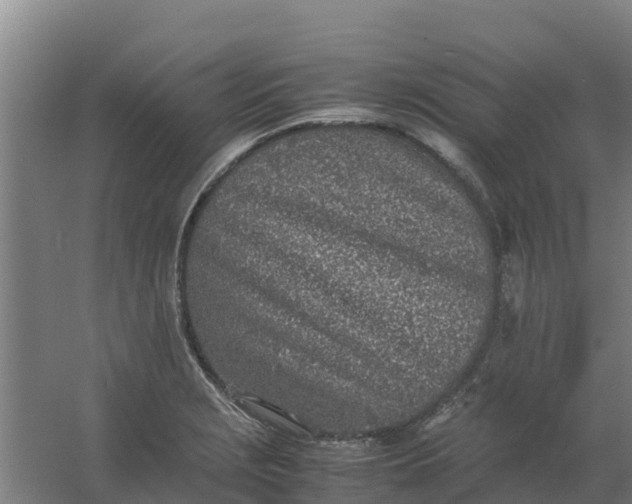 X0000059811229200511041645