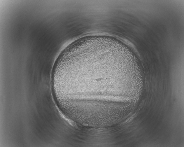 X0000059811231200511041645