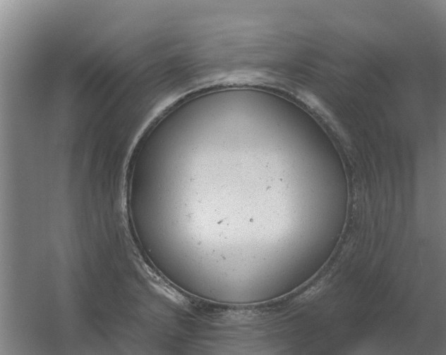 X0000059811232200511041645