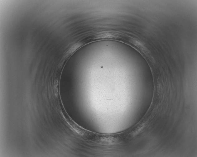 X0000059811233200511041645