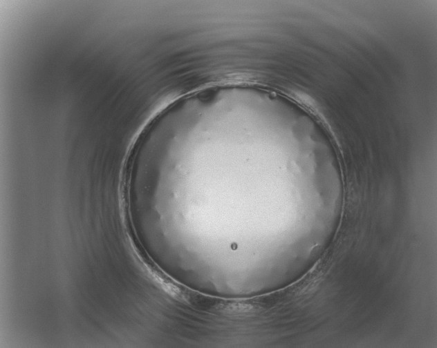 X0000059811235200511041645