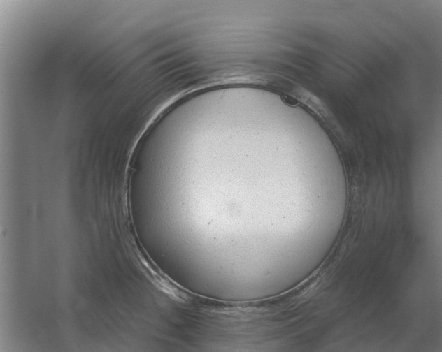 X0000059811236200511041645