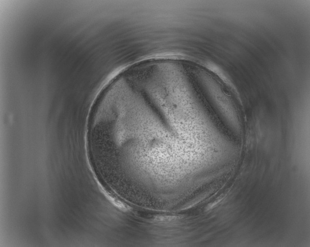 X0000059811237200511041645