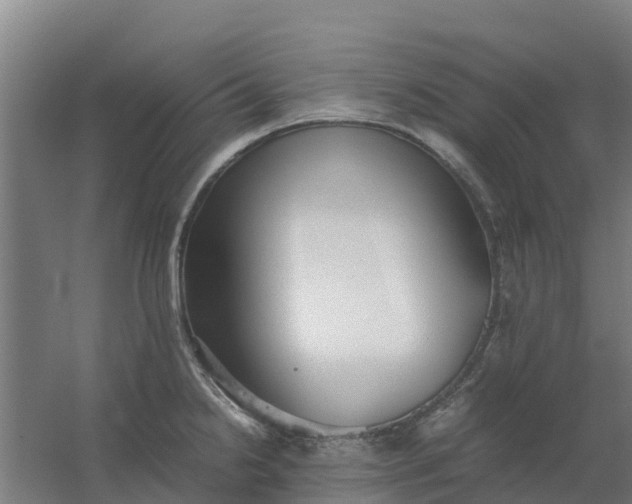 X0000059811238200511041645