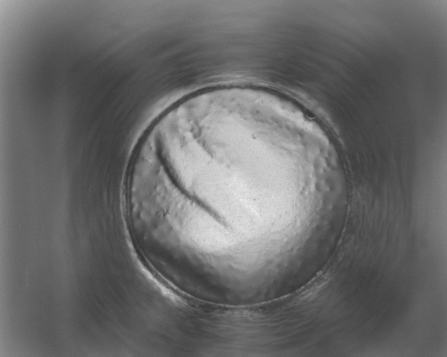 X0000059811239200511041645