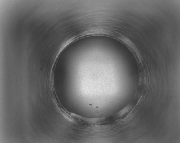 X0000059811242200511041645