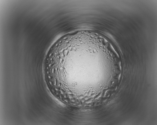 X0000059811243200511041645