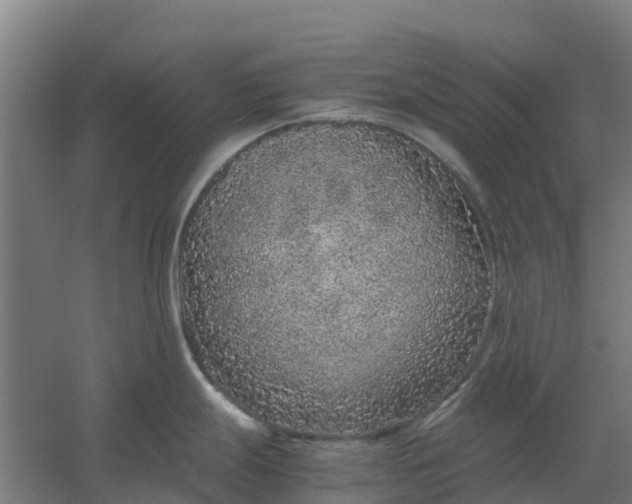 X0000059811247200511041645