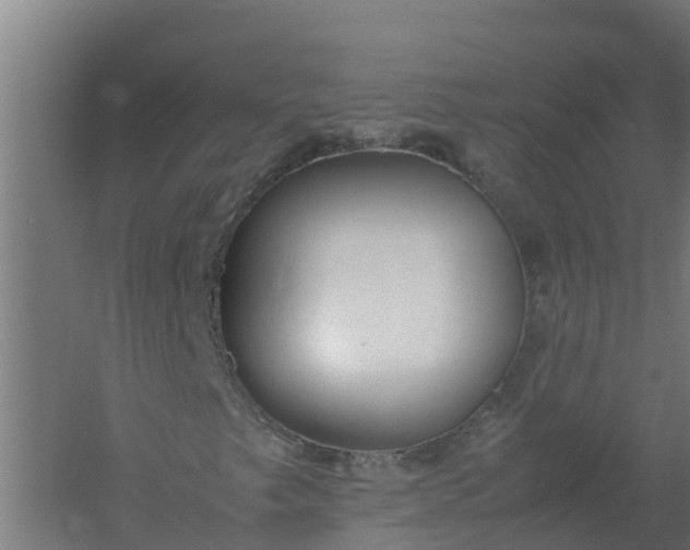 X0000059811249200511041644