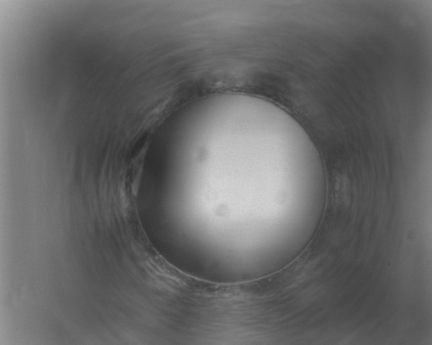 X0000059811250200511041644