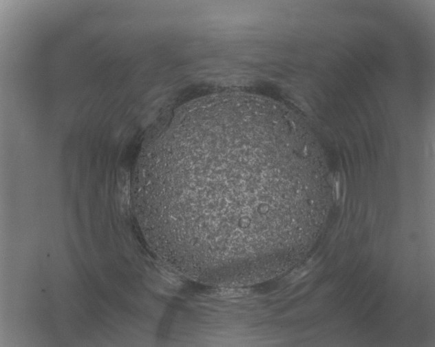 X0000059811251200511041644