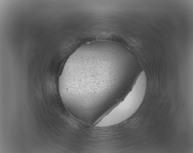 X0000059811252200511041644