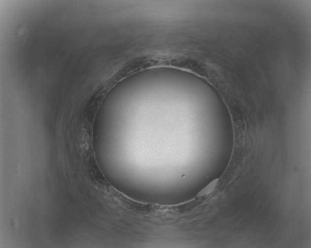 X0000059811253200511041644