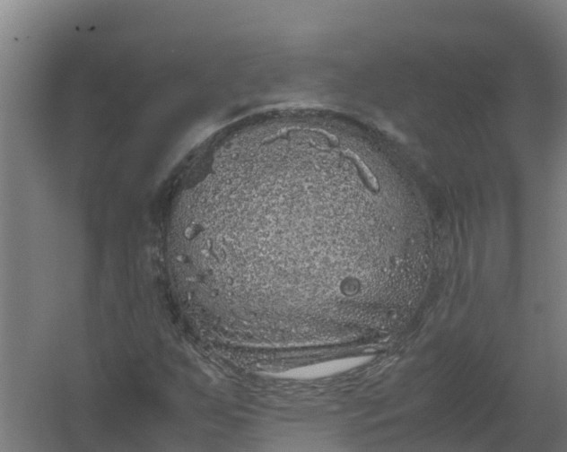 X0000059811255200511041644