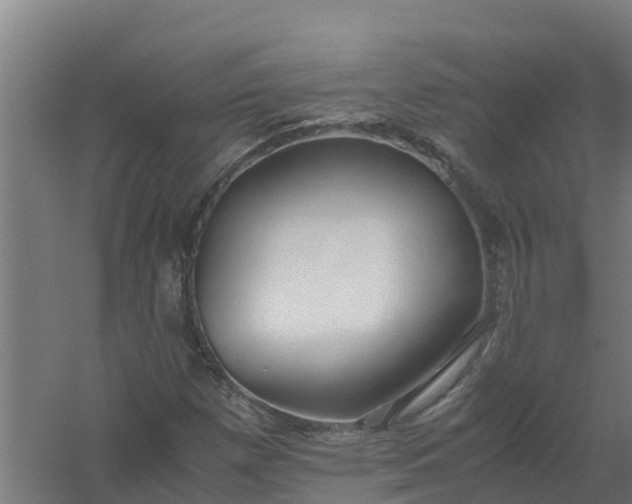 X0000059811257200511041644