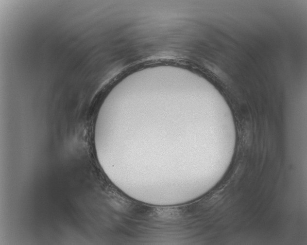 X0000059811258200511041644