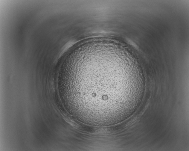 X0000059811259200511041644