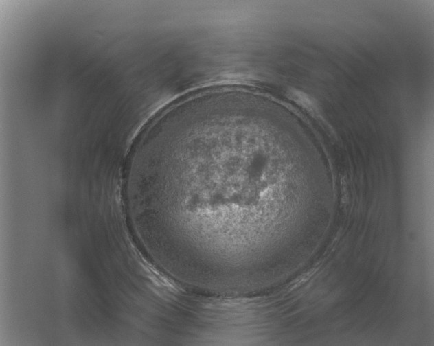 X0000059811260200511041644