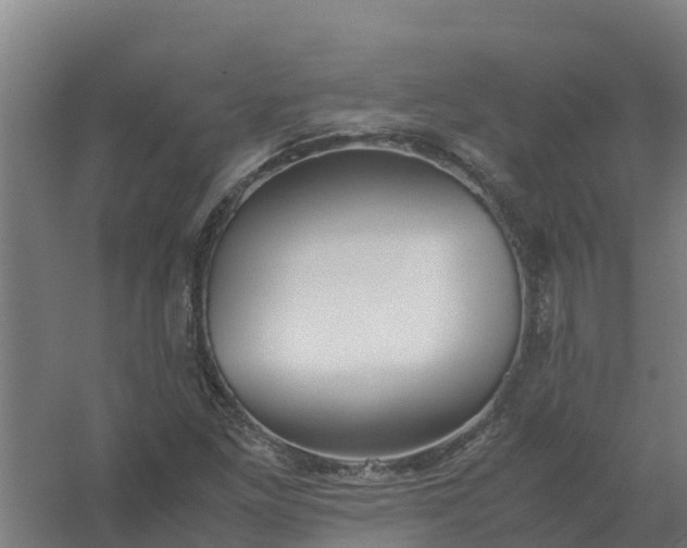 X0000059811261200511041644