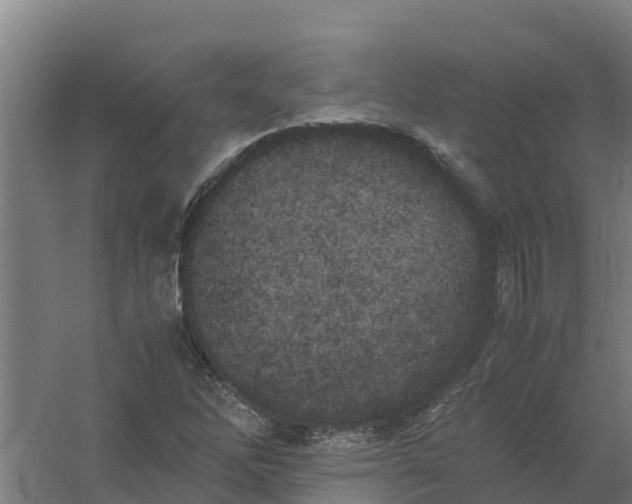 X0000059811262200511041644