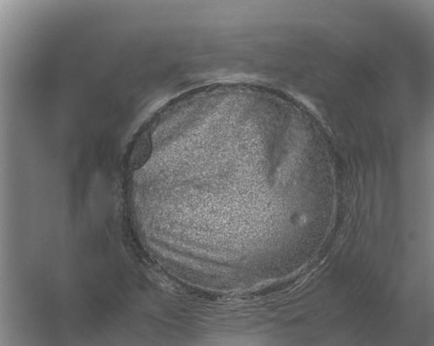 X0000059811263200511041644