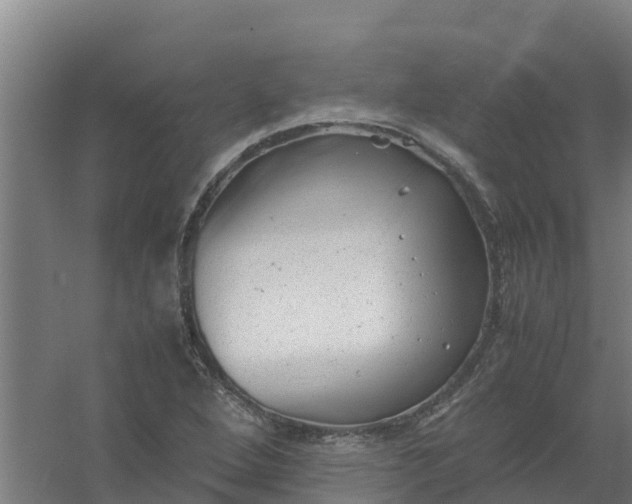 X0000059811264200511041644