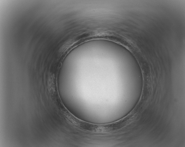 X0000059811265200511041644