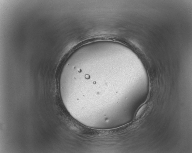 X0000059811267200511041644