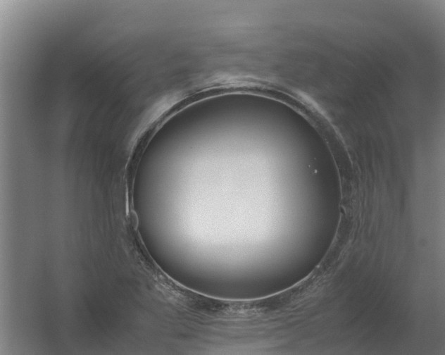 X0000059811269200511041644