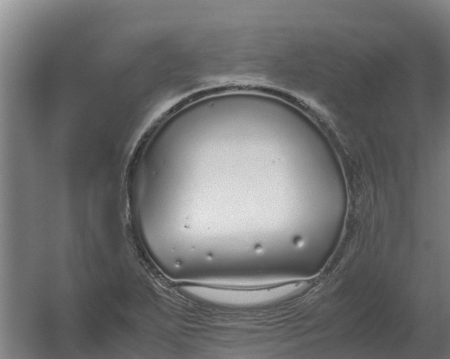 X0000059811271200511041644