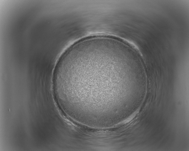 X0000059811279200511041644