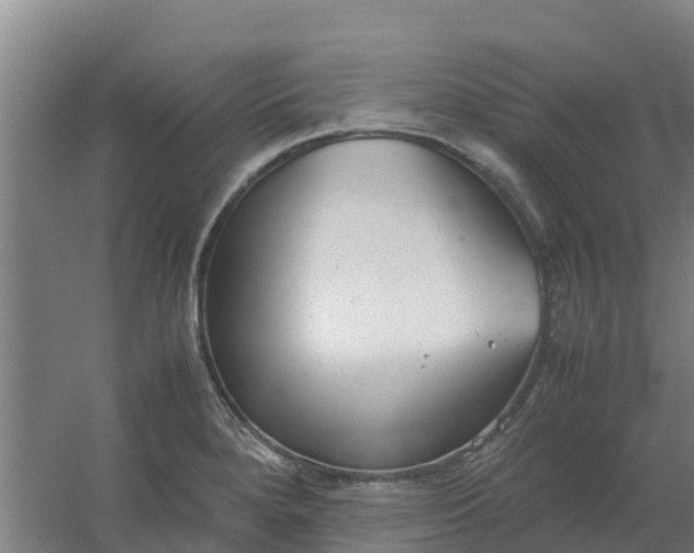 X0000059811280200511041644