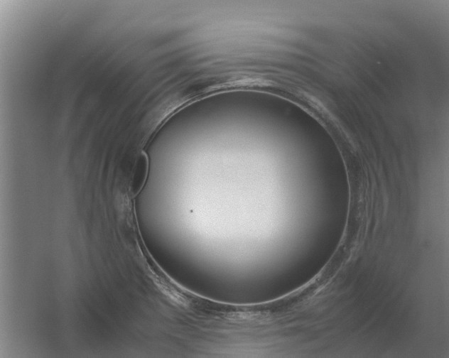 X0000059811281200511041644