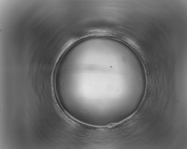 X0000059811283200511041644