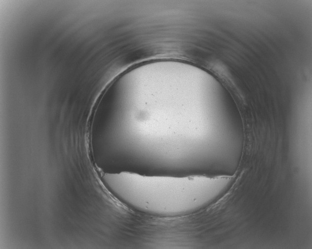 X0000059811284200511041644