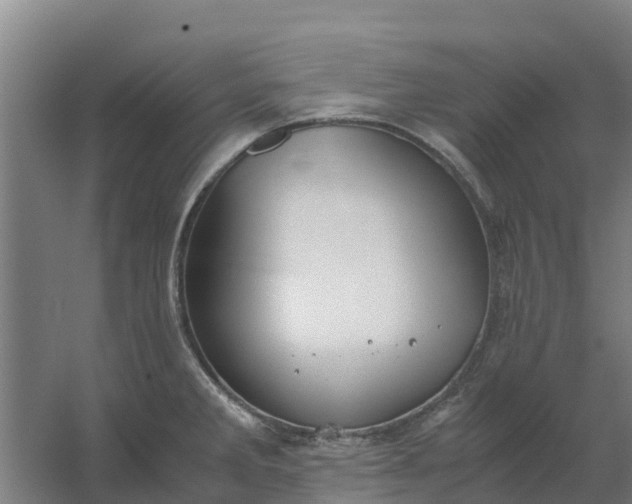 X0000059811285200511041644