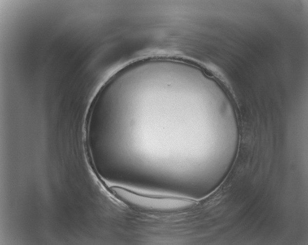 X0000059811287200511041644