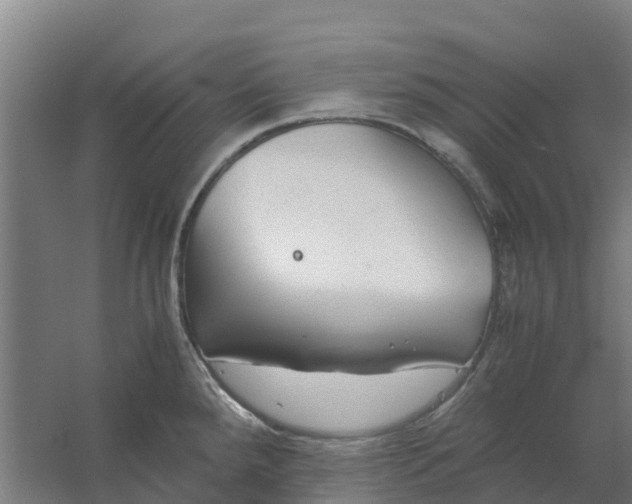 X0000059811288200511041644