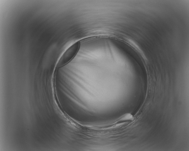 X0000059811291200511041644