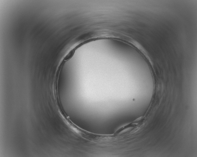 X0000059811293200511041644