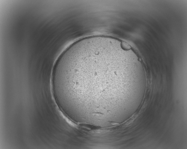 X0000059811294200511041644